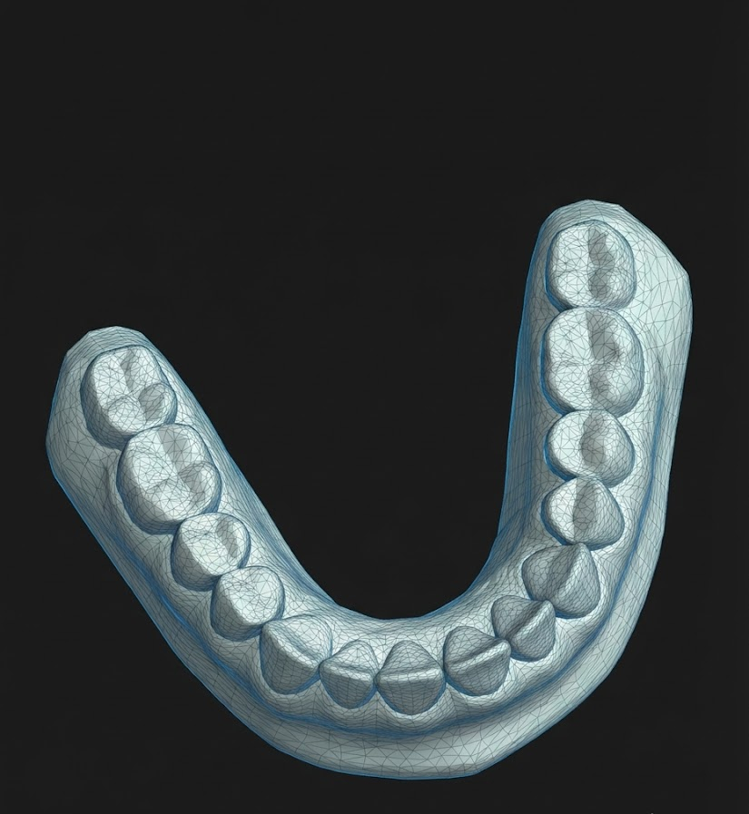Mandible Anatomic Model · STL